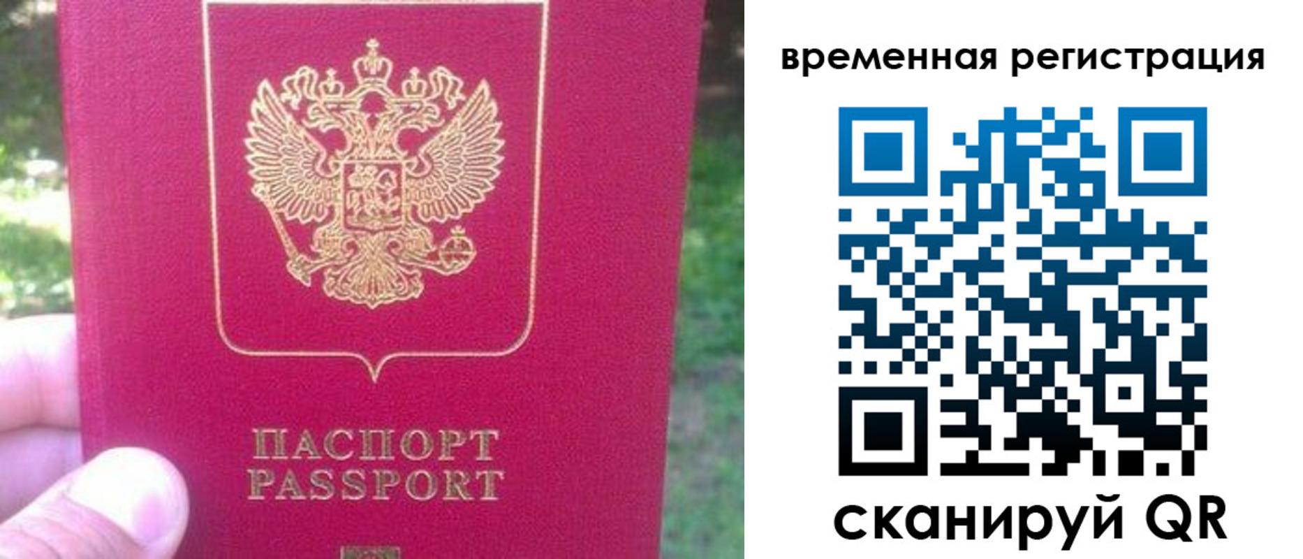 временная регистрация для школы в Светлогорске