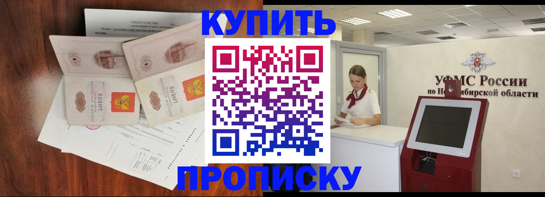 временная регистрация поиск в Светлогорске